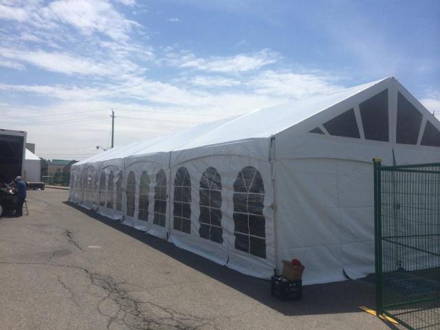 20' Wide Gable End Frame Tents 20' Wide Gable End Frame Tents