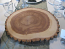 Rustic Wood Slabs